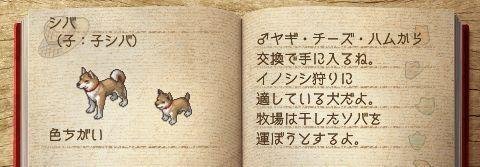《欢迎来到绵羊村》神兽养成计划(二)