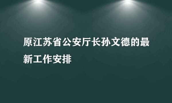 原江苏省公安厅长孙文德的最新工作安排