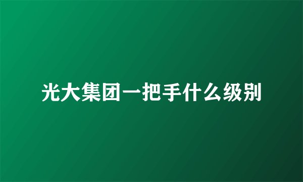 光大集团一把手什么级别