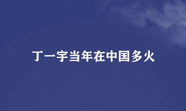 丁一宇当年在中国多火