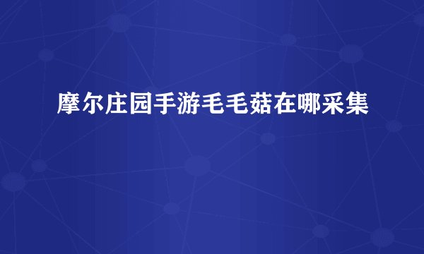 摩尔庄园手游毛毛菇在哪采集