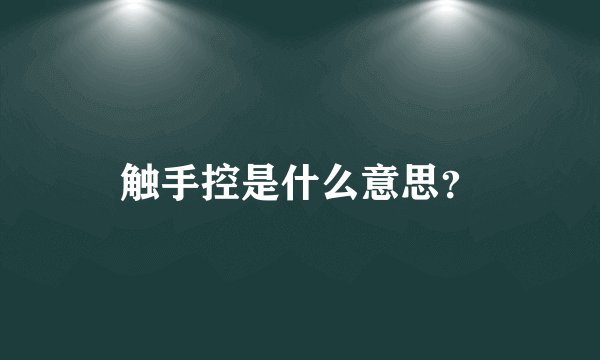 触手控是什么意思？