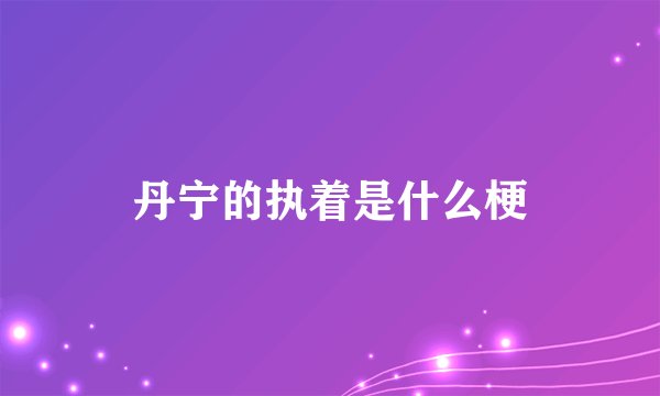 丹宁的执着是什么梗