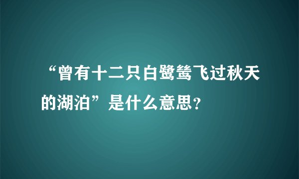 “曾有十二只白鹭鸶飞过秋天的湖泊”是什么意思？