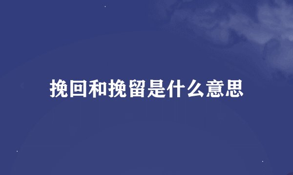 挽回和挽留是什么意思