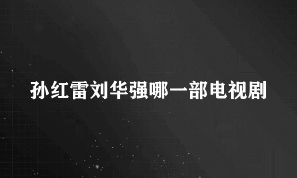 孙红雷刘华强哪一部电视剧