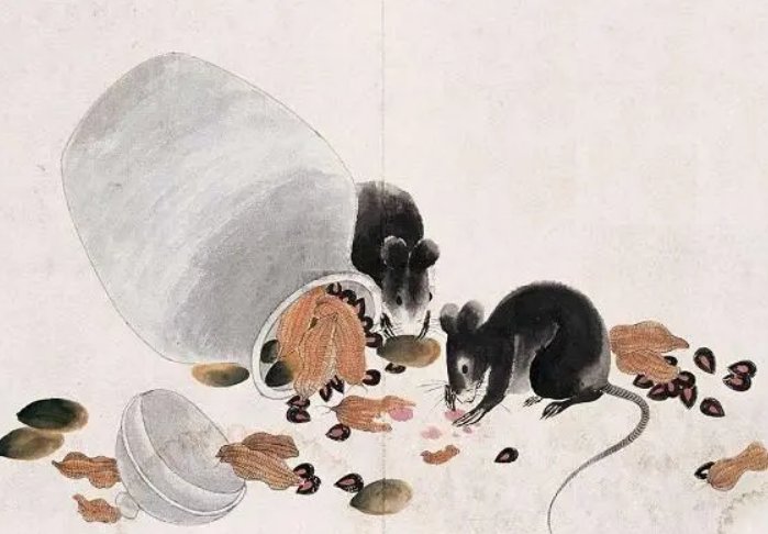 赵人患鼠原文及翻译