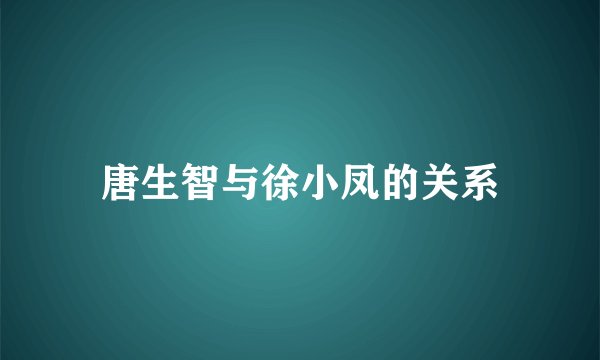唐生智与徐小凤的关系