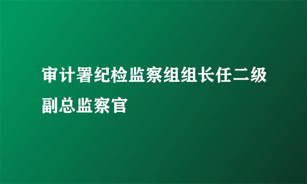 审计署纪检监察组组长任二级副总监察官