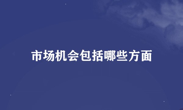 市场机会包括哪些方面