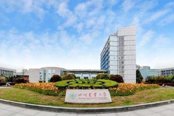 四川农业大学2023年分数线