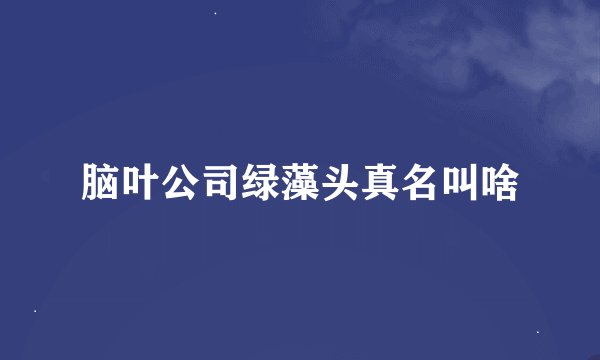 脑叶公司绿藻头真名叫啥