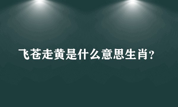 飞苍走黄是什么意思生肖？