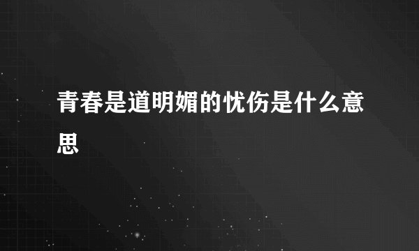 青春是道明媚的忧伤是什么意思