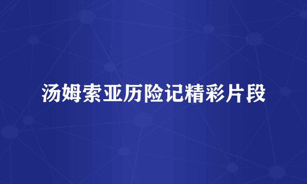 汤姆索亚历险记精彩片段