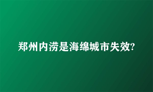 郑州内涝是海绵城市失效?
