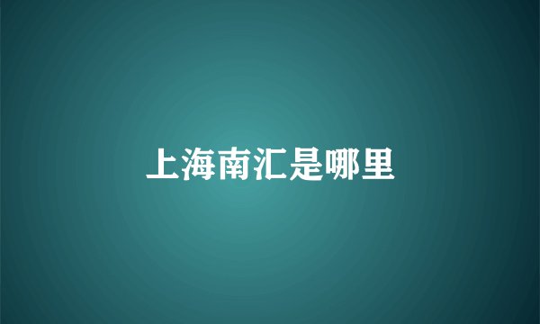 上海南汇是哪里