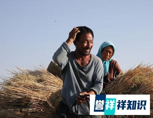 《隐入尘烟》将下映,最终票房1.11亿