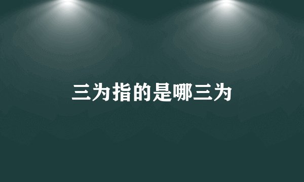 三为指的是哪三为