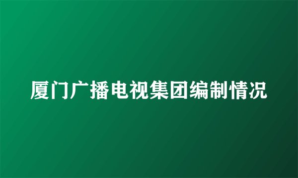 厦门广播电视集团编制情况