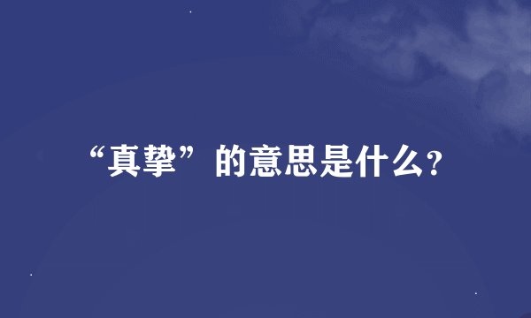 “真挚”的意思是什么？