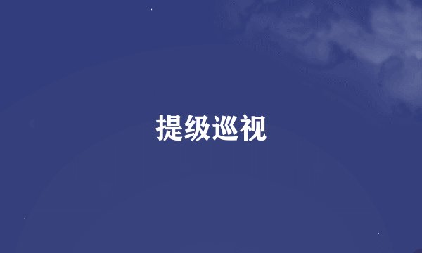 提级巡视