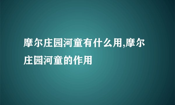 摩尔庄园河童有什么用,摩尔庄园河童的作用