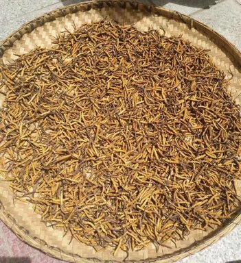 深圳买一束10朵的玫瑰花要多少钱？
