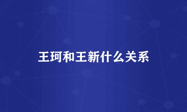 王珂和王新什么关系