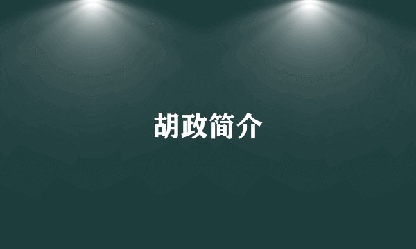 胡政简介