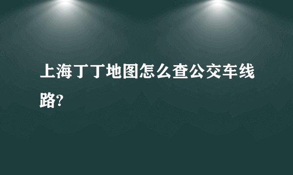 上海丁丁地图怎么查公交车线路?
