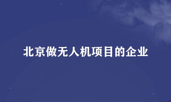 北京做无人机项目的企业
