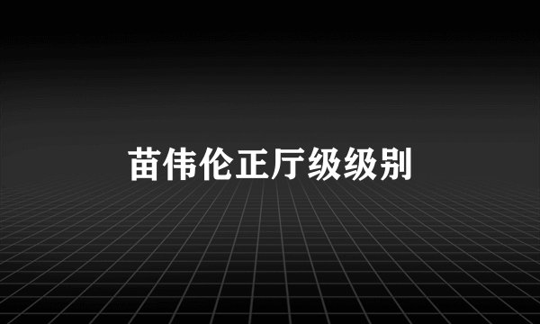 苗伟伦正厅级级别