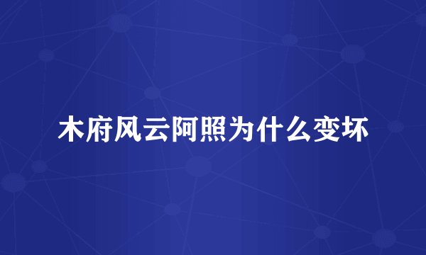 木府风云阿照为什么变坏