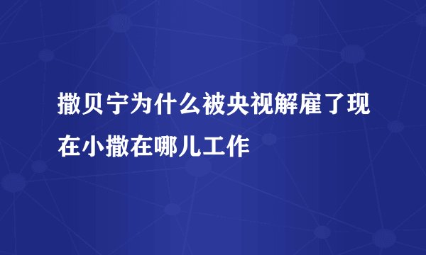 撒贝宁为什么被央视解雇了现在小撒在哪儿工作