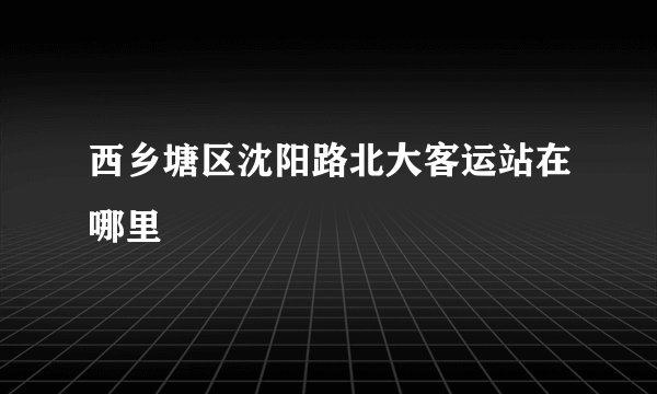 西乡塘区沈阳路北大客运站在哪里