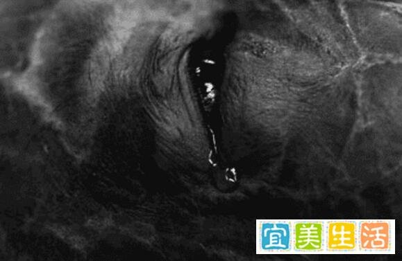 新闻摄影构图的五大基本原则