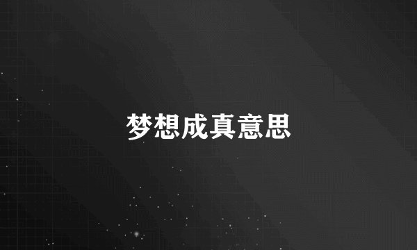 梦想成真意思
