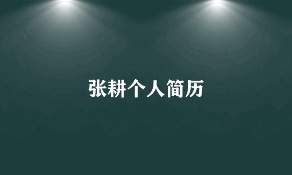 张耕个人简历