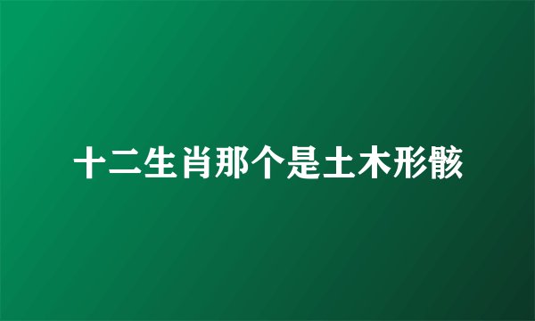 十二生肖那个是土木形骸
