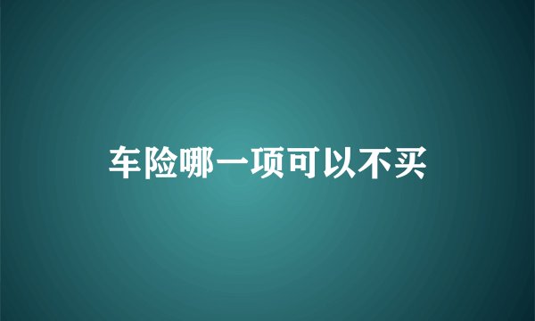 车险哪一项可以不买