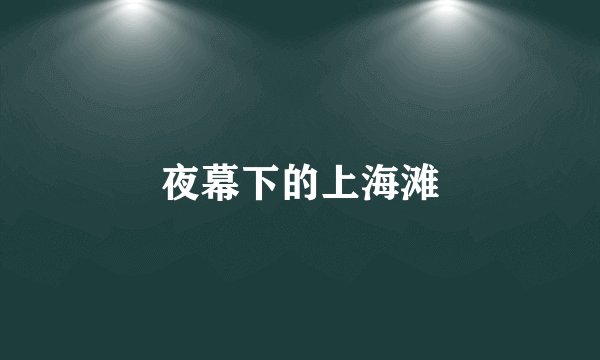 夜幕下的上海滩