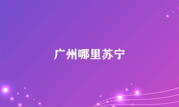 广州哪里苏宁