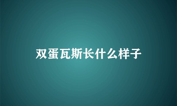 双蛋瓦斯长什么样子