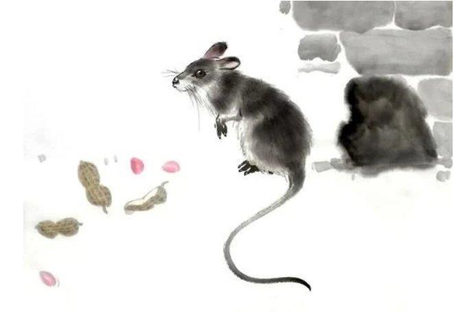 赵人患鼠原文及翻译