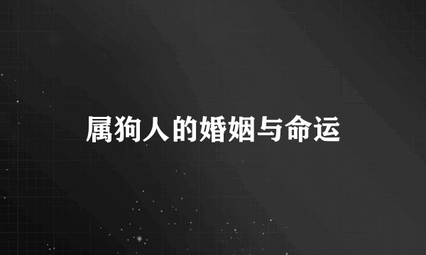 属狗人的婚姻与命运
