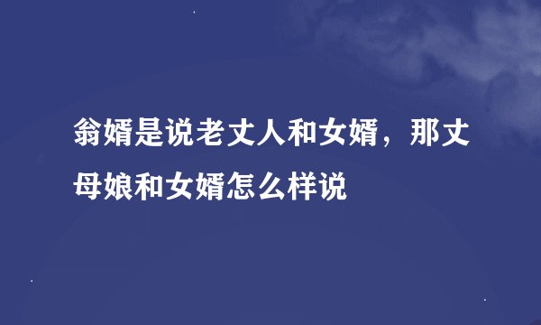 翁婿是说老丈人和女婿，那丈母娘和女婿怎么样说
