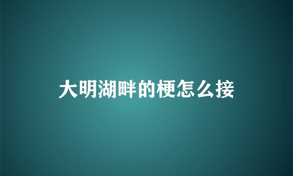 大明湖畔的梗怎么接
