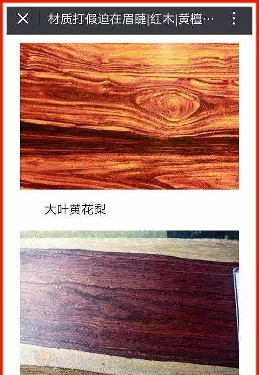 伯利兹黄檀