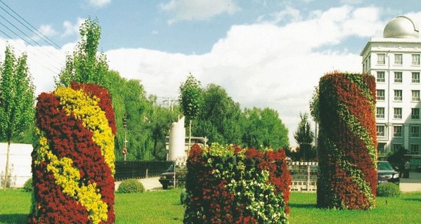 鹤岗一中录取分数线是多少